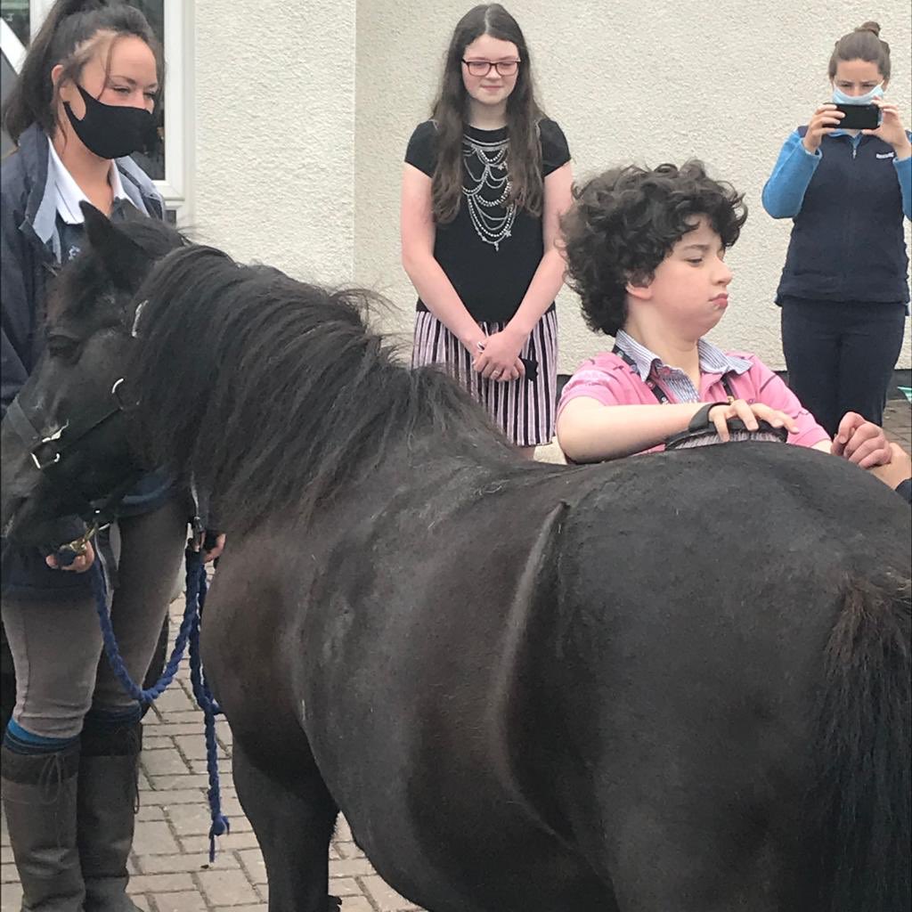 Equine therapy home visits for children with sight loss and multiple disabilities happening today in Dublin #sightloss #holdfirm