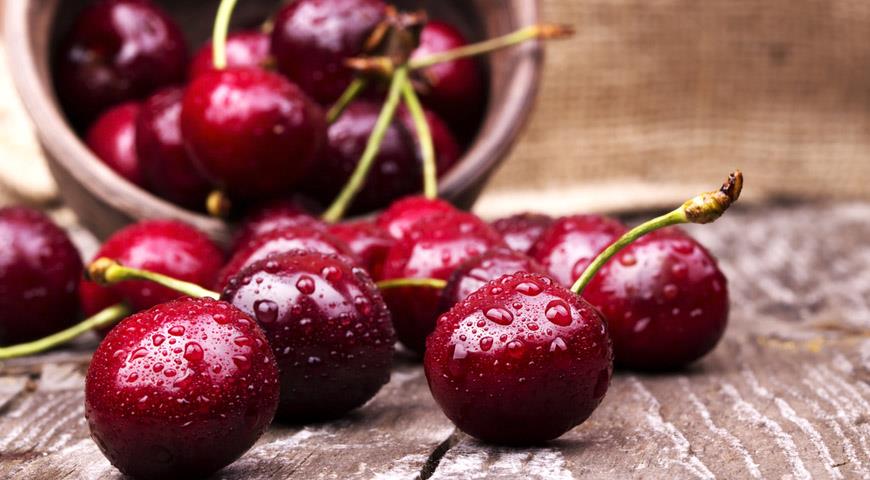 Как выбрать самую вкусную черешню и сохранить ее свежей максимально долго  
goldorfey.com/kak-vbraty-sam…