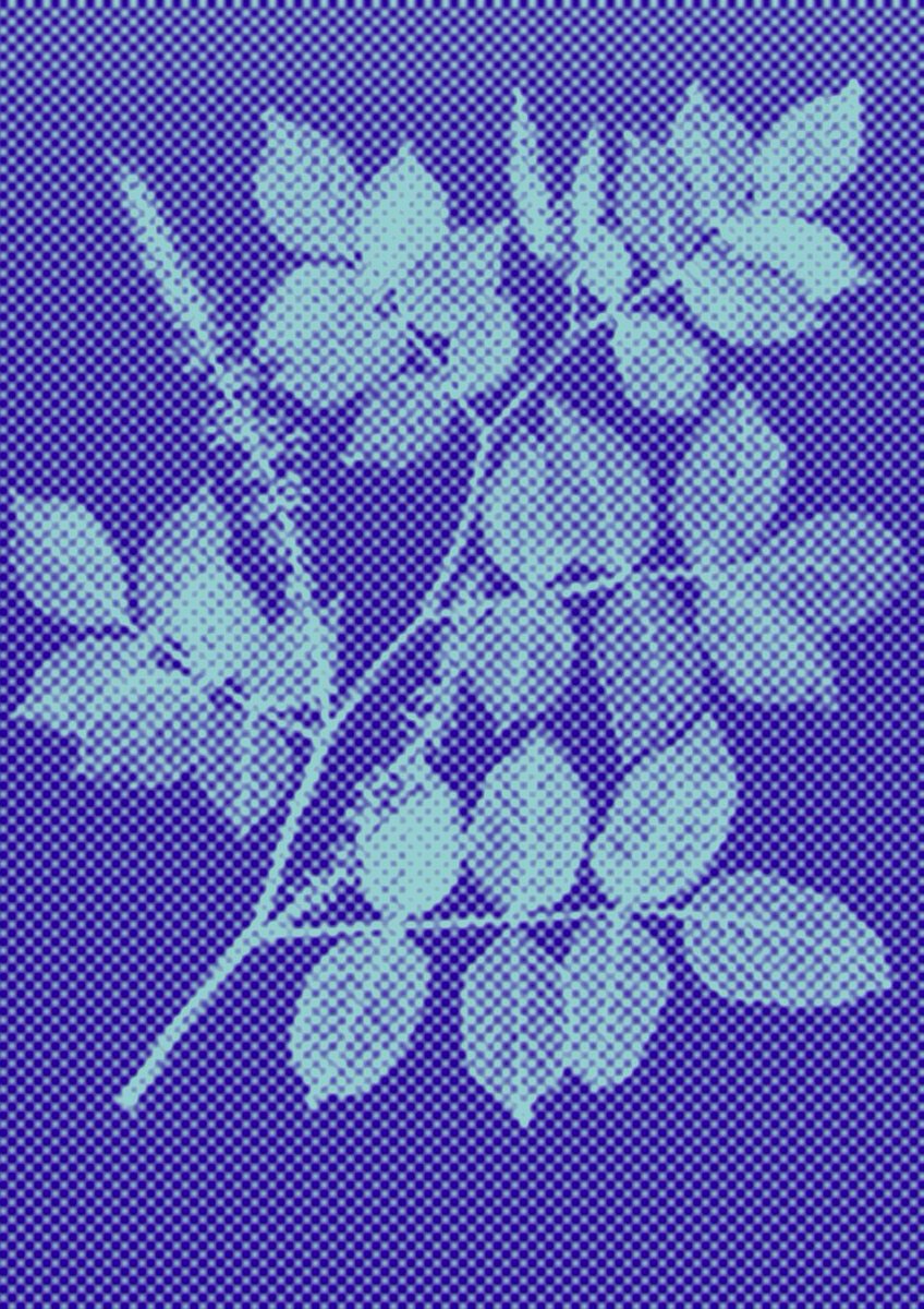 thePDlibrary's tweet image. Some quick collages using images from the @britishlibrary Flickr page inspired by this @BL_DigiSchol blog post by @miss_wisdom #GreatTree #UrbanTreeFestival  shar.es/ab1ZXu