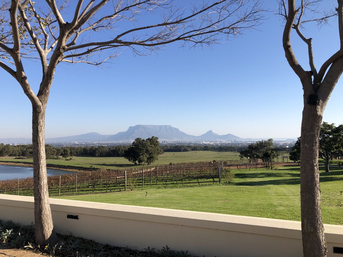 loudgasS's tweet image. Another beautiful day ⁦@degrendelwines⁩.