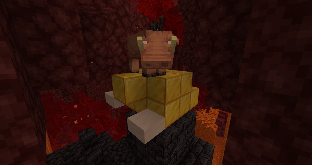 FeroxHosting's tweet photo. My Precious!!!
De 1.16 update komt 23 Juni publiek uit! Maar raad eens waar je nu al een snapshot server kan halen?
#lotr #minecraft #minecrafthosting #feroxhosting #minecraftupdate #hype
#piglins #hoglins #cute https://t.co/hC6hnTyJaL