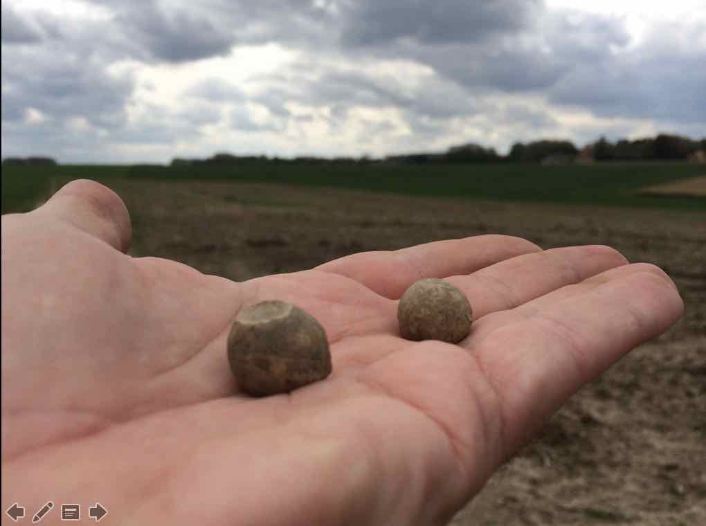 ProfTonyPollard's tweet photo. For most part, can tell Allied from French musket balls as Brown Bess is .75 calibre (L) &amp; French is .69, so smaller (R). Depression on BB is from violent use of ram rod - it's been smashed in when loading at time of high stress. Archaeology of fear. @DigWaterloo #Waterloo205 https://t.co/fIVVF7vJX6