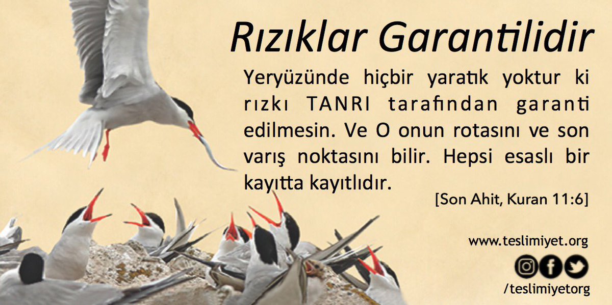 submitteredit's tweet photo. Tanrı’nın gücü her şeye yeter🙏🏻🌟 #kuranıkerim #kuranikerim #gününayeti #gününsözü #kuran #teslimiyet #ayet #dua #allah #tanrı #rab #din #islam #islamiyet #ondokuz #tekbir #tektanrı #oku #okumak #kitap #doğa #yiyecek #içecek #giyecek #rızık #garanti #rızıkallahtandır https://t.co/IygptwjgLL