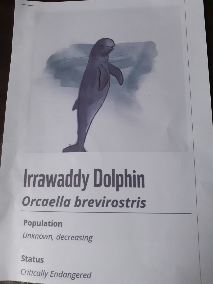 wintera199's tweet photo. @stmichaelthomas Hi there . A few bits here that Luca has done this week for Miss Povall. Hope she likes them! 😊 It's his dolphin fact File and a Monster picture that he drew from a YouTube video . https://t.co/HZmQgcoGXz