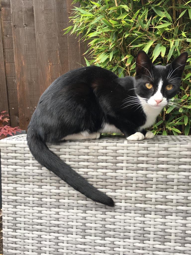 Kelly Walls tweet media