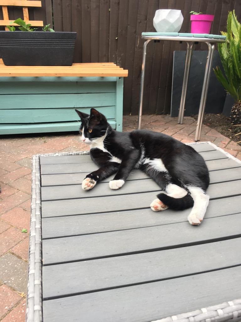 Kelly Walls tweet media