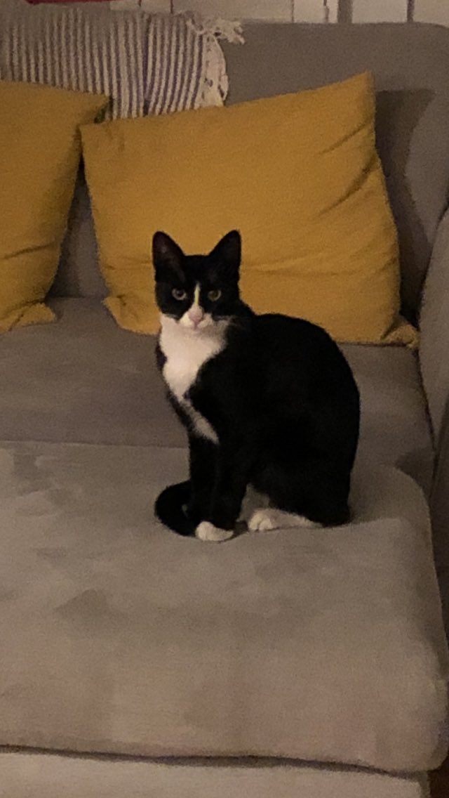 Kelly Walls tweet media