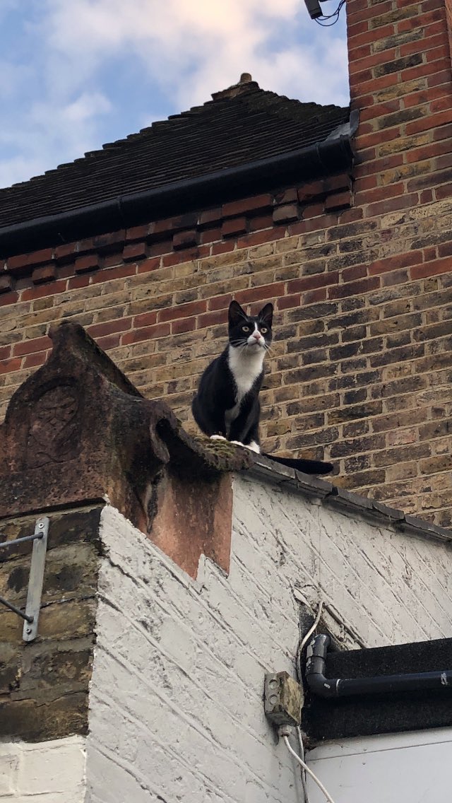 Kelly Walls tweet media