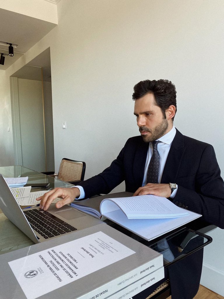 Luis Sánchez-Guillén tweet media