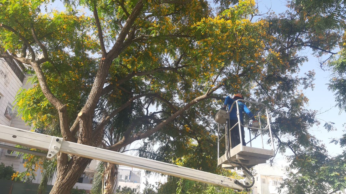 avid123123's tweet photo. ממשיכים בעשייה .בכל הכח .רחוב הזמיר https://t.co/BVWwFpYuto