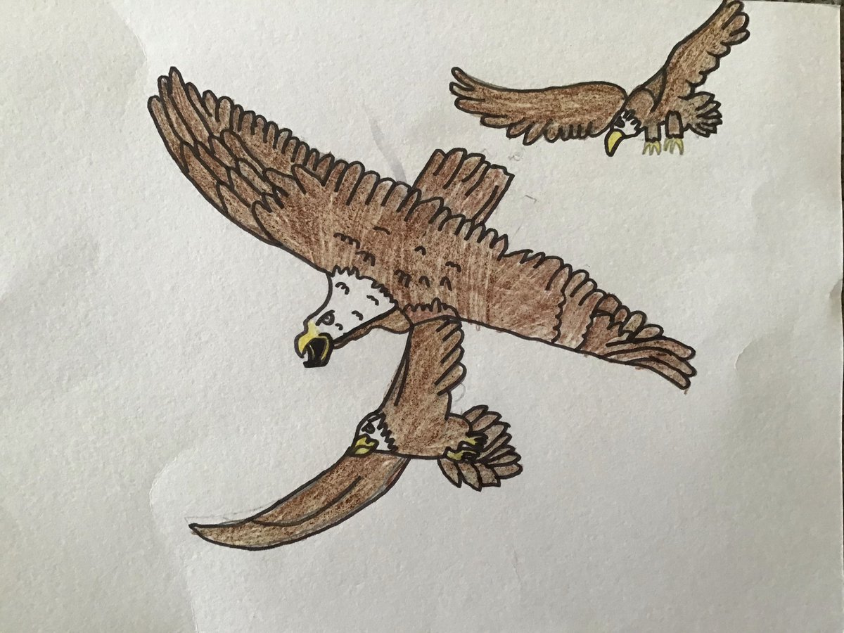 Bishopmill P5 MB tweet media