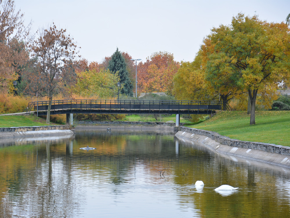 Foto cedida por Ayuntamiento de Torrejón