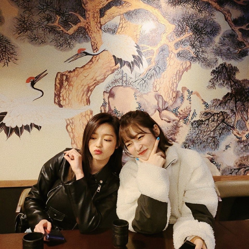 ⠀⠀𝑲𝒏𝒐𝒘𝒊𝒏𝒈 her,𝑴𝒆𝒆𝒕𝒊𝒏𝒈 her,Being one of her closest sisters,I called myself 𝒍𝒖𝒄𝒌𝒚 to have her.This thread is made to our Addong-ie,𝑪𝒉𝒐𝒊 𝒀𝒆𝒘𝒐𝒏.⠀
