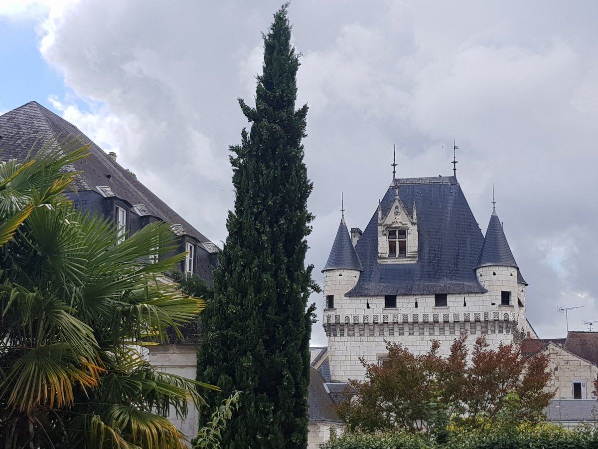 Silicon Loches tweet media