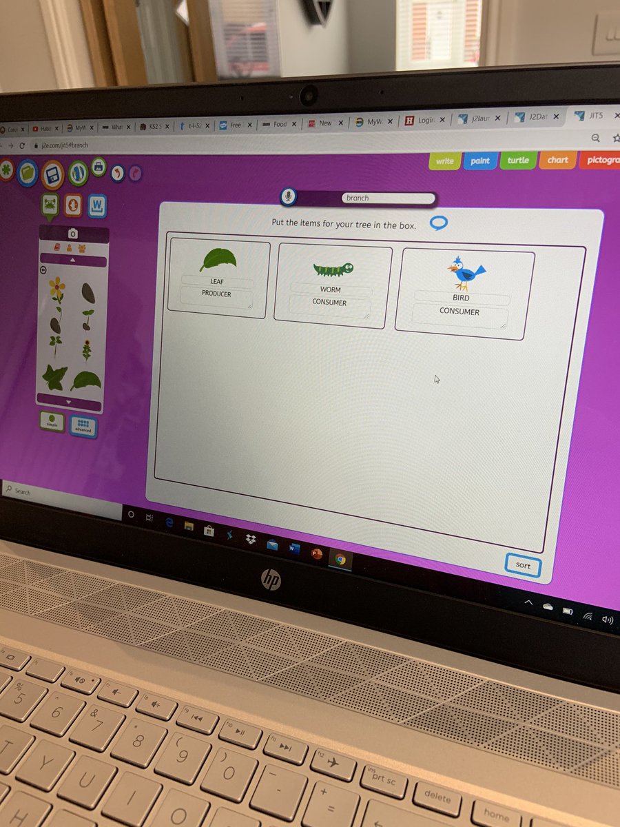 leannefins's tweet photo. @BGrovePrimary Sam’s Food Chains. He also tried a branch diagram on J2data #BGP3 https://t.co/82aVjlRyjL