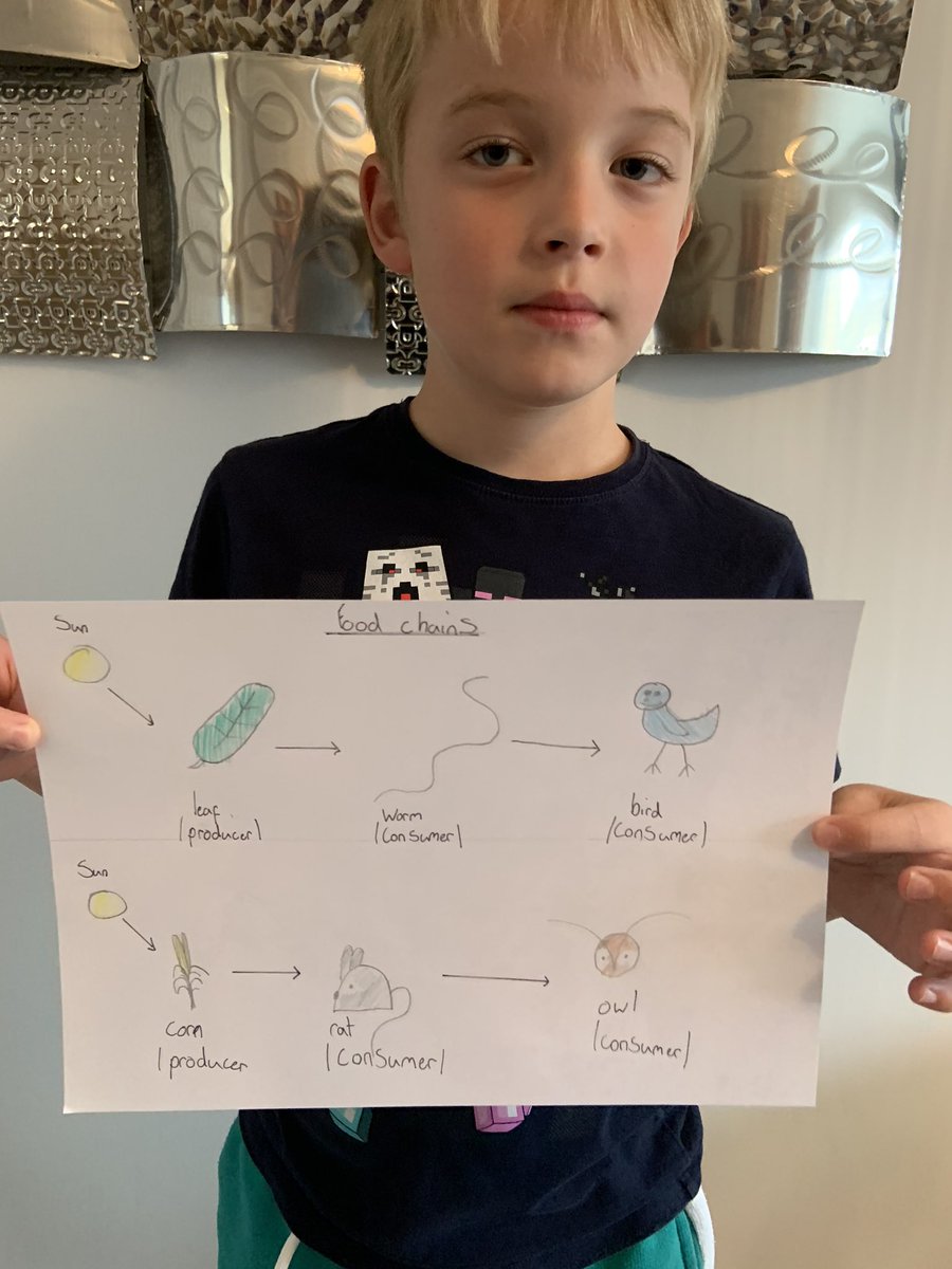 leannefins's tweet photo. @BGrovePrimary Sam’s Food Chains. He also tried a branch diagram on J2data #BGP3 https://t.co/82aVjlRyjL