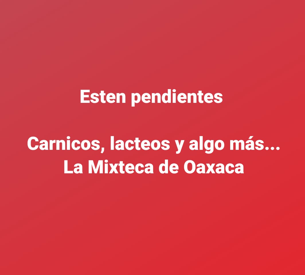 MixtecaOaxaca's tweet photo. https://t.co/LE5r2tqTYs
