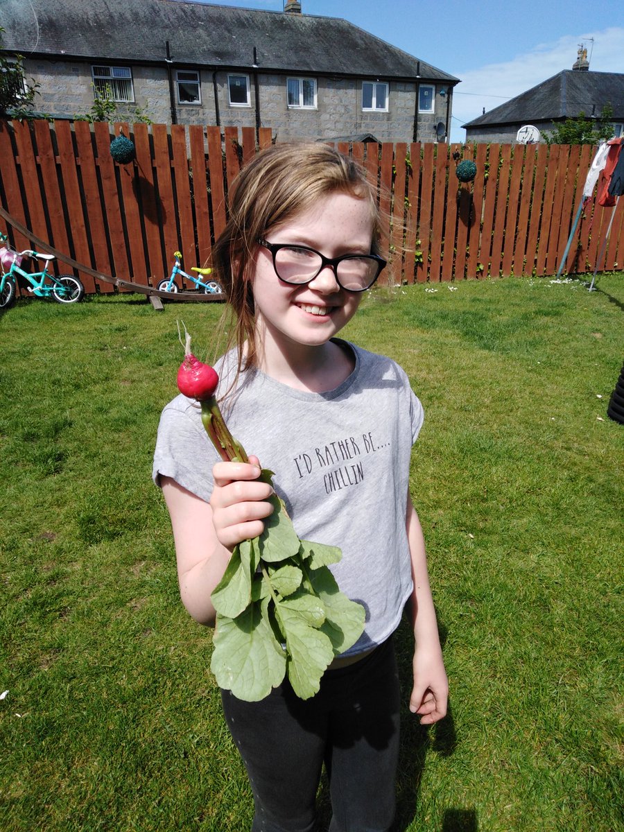 MissSomerville's tweet photo. Gardening, ice-creams at the beach and socially distant walks to name a few of our wellbeing Wednesday activities this week! #wellbeingwednesday @Kirkhill_School https://t.co/gbKnUiAreJ