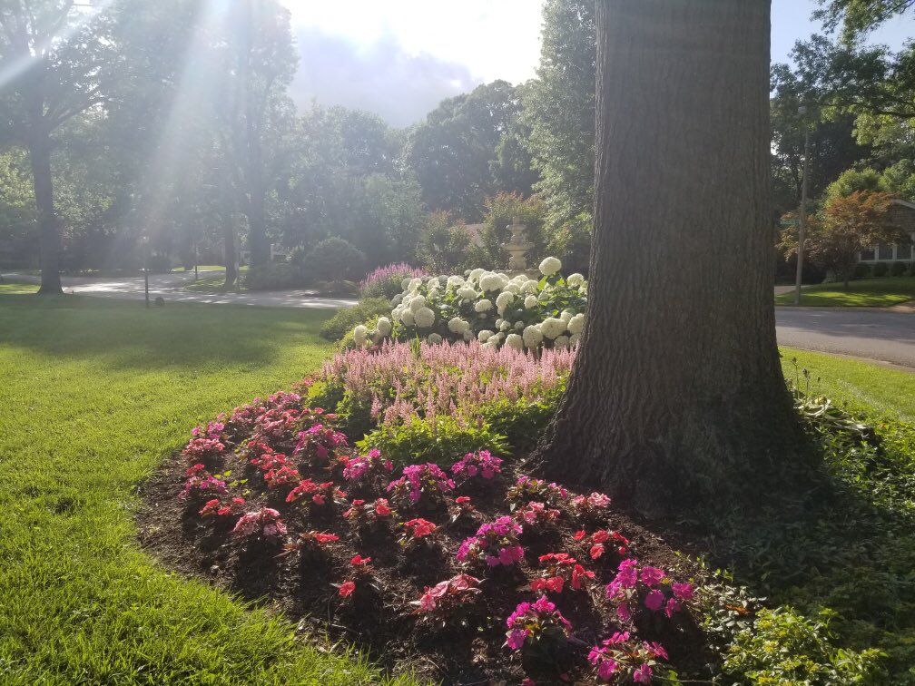 Landscape_STL's tweet photo. “A flower blooms for its own joy!” -Oscar Wilde https://t.co/2LhtkbePvq