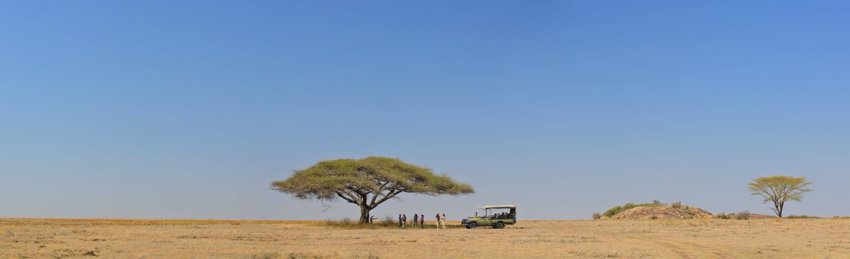 Big skies ☀️

📍 Namiri Plains, Serengeti
bit.ly/Asilia-NamiriP…
--
#NamiriPlains #Serengeti #BigSky #AsiliaAfrica #AsiliaSafari #SafariPhotography