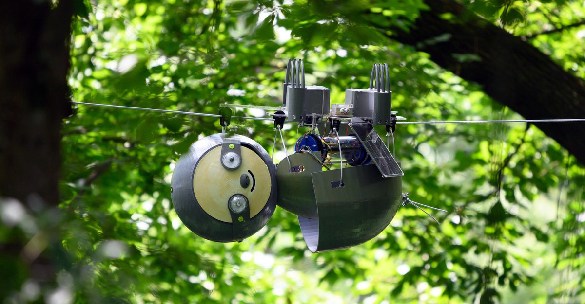 GeorgiaTech's tweet photo. SlothBot is an energy-efficient, slow-moving, and super cute robot that can collect ecological data in an environment for extended periods of time. Georgia Tech roboticists teamed with the @AtlBotanical Garden to deploy SlothBot in the forest canopy. | https://t.co/cirVom0QFg https://t.co/BVK6fiKkc4