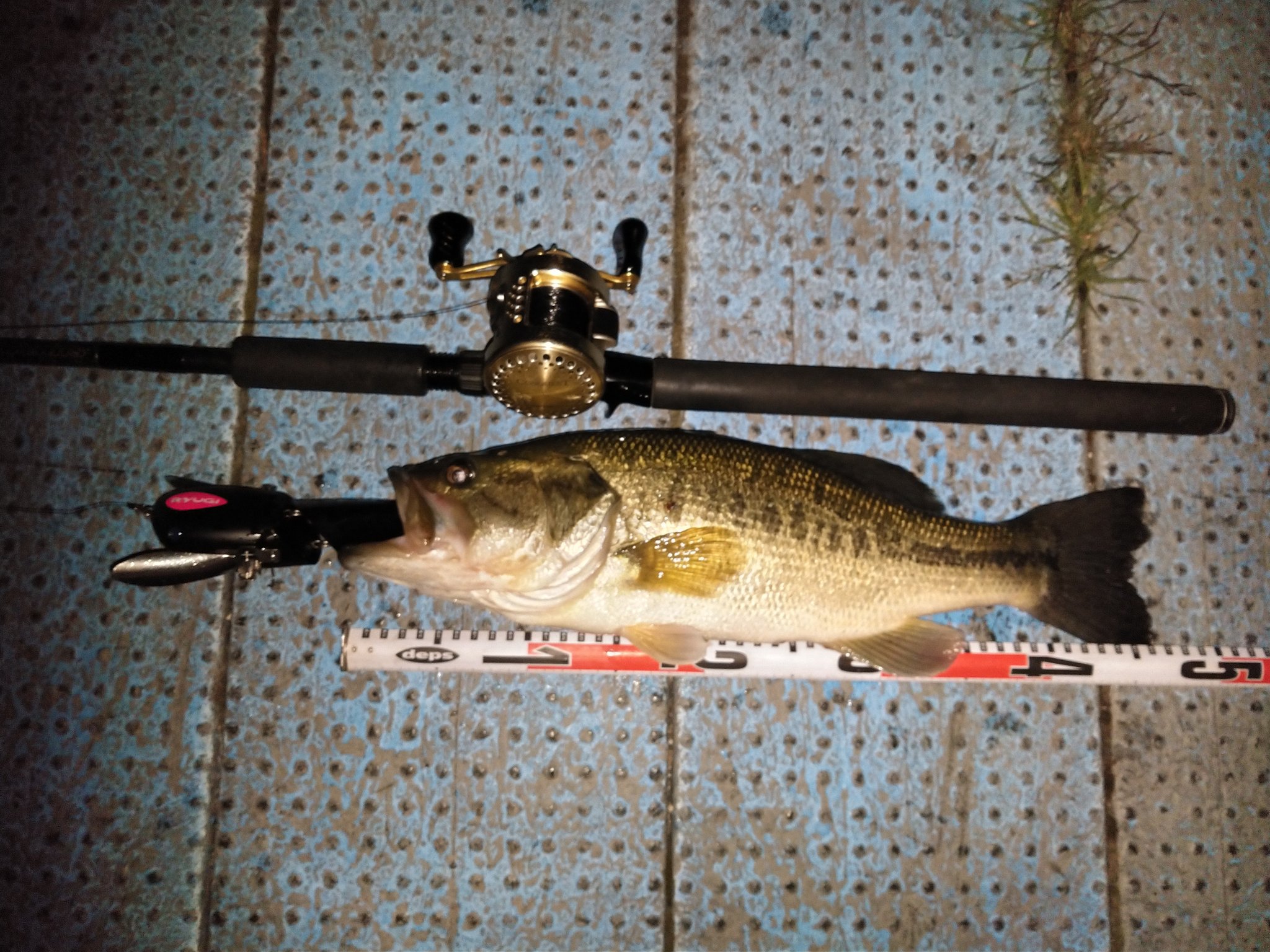 サイズ変更オプション デプス ドムドライバーSE - 通販