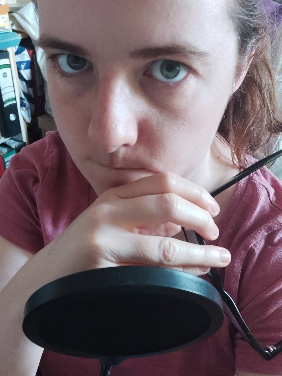 AliceERyan's tweet photo. No #seagulls I do NOT want to hear you on my roof or begging for #food when I'm trying to #record #audio 

#voiceover #actorslife #audiodrama #sylvia #scifi #southend #seasideproblems #notnownature https://t.co/v93QNBXCSZ
