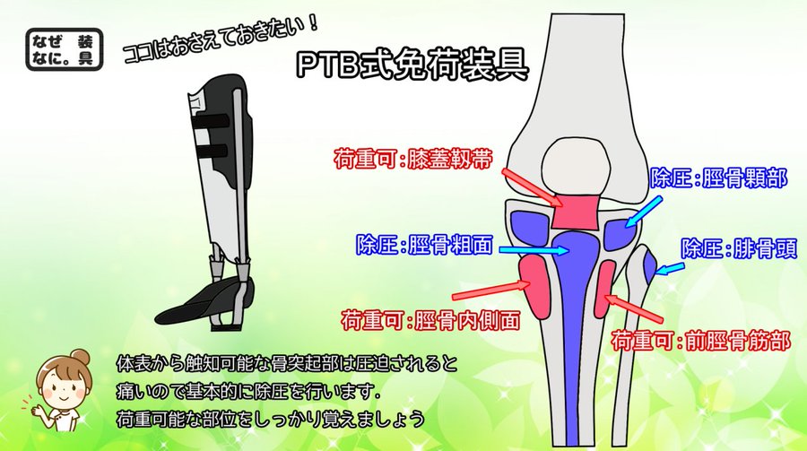 PTB免荷装具 荷重調整装置付き 左脚用 - haz.ir