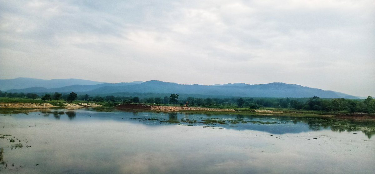 Bikash_M04's tweet photo. "If you truly love nature, you will find beauty everywhere, Baripada, Mayurbhanj, Odisha, Similipal"#Odisha ,#Similipal https://t.co/pME0gi7pg3