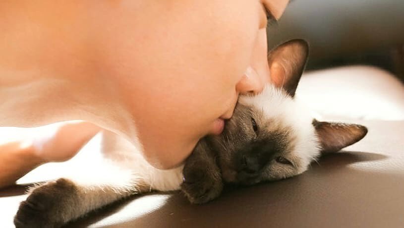 ตัวอ้วน ♡ tweet media