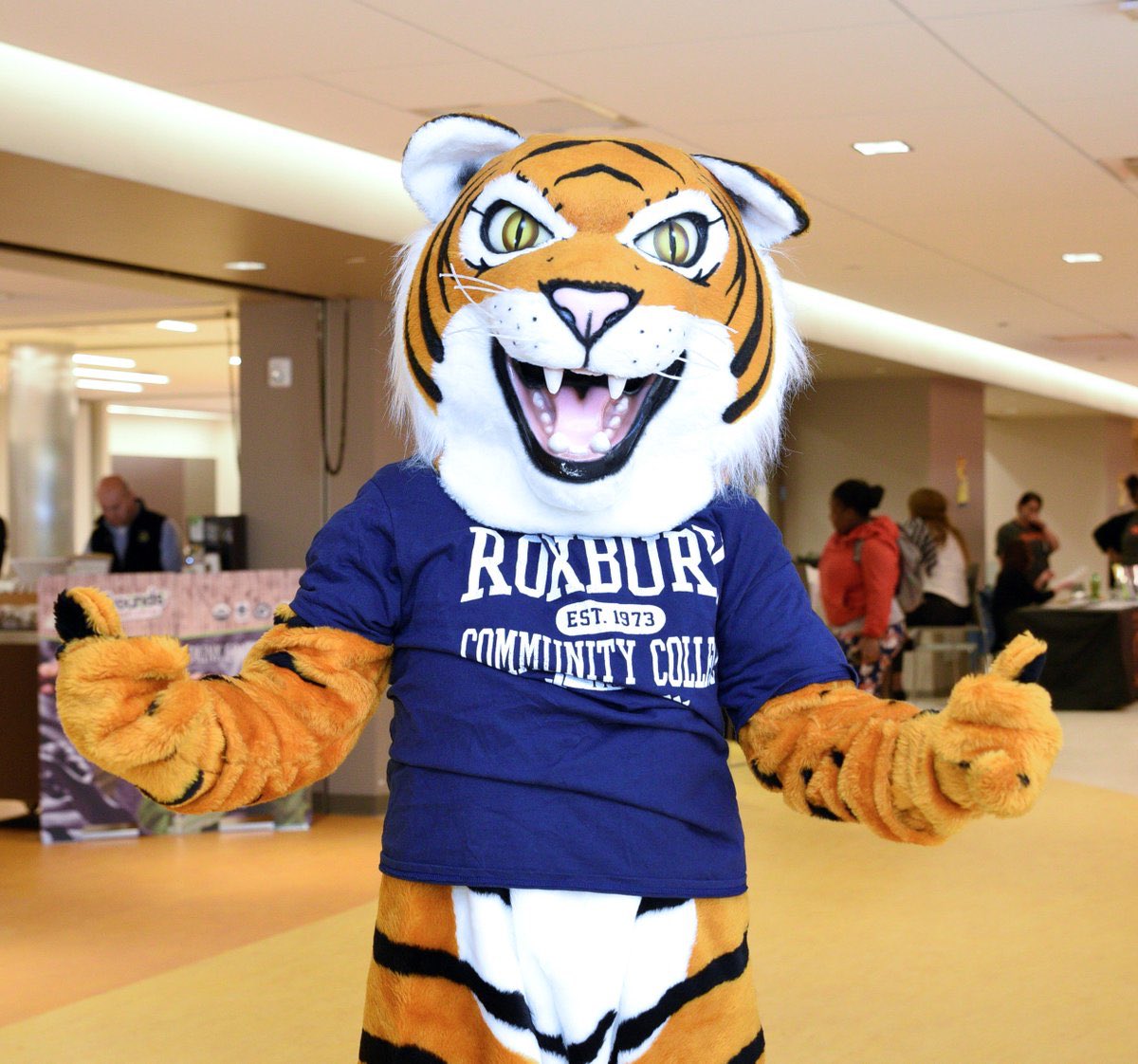 Happy National Mascot Day!! #NationalMascotDay #rcctigers #rcc #roxbury #roxburycommunitycollege #gotigers