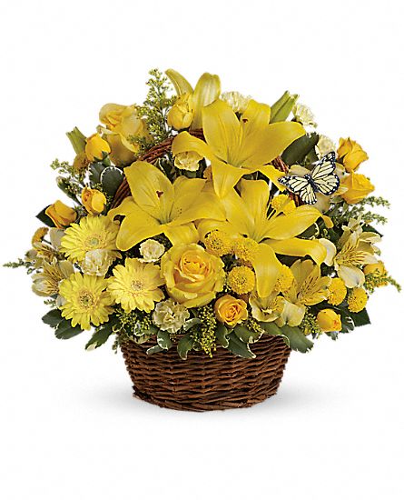MayfieldFlorist's tweet photo. Our "Basket Full of Wishes" is a thoughtful gift to send. Especially today for recognizing National Nursing Assistant Day. Wish them a beautiful day with #MayfieldFlorist.
#nursingassistantday #thankyou #heros #blessyou #staywell #sendthanks https://t.co/EnXNk5aQC0 https://t.co/yX8avs6fbi