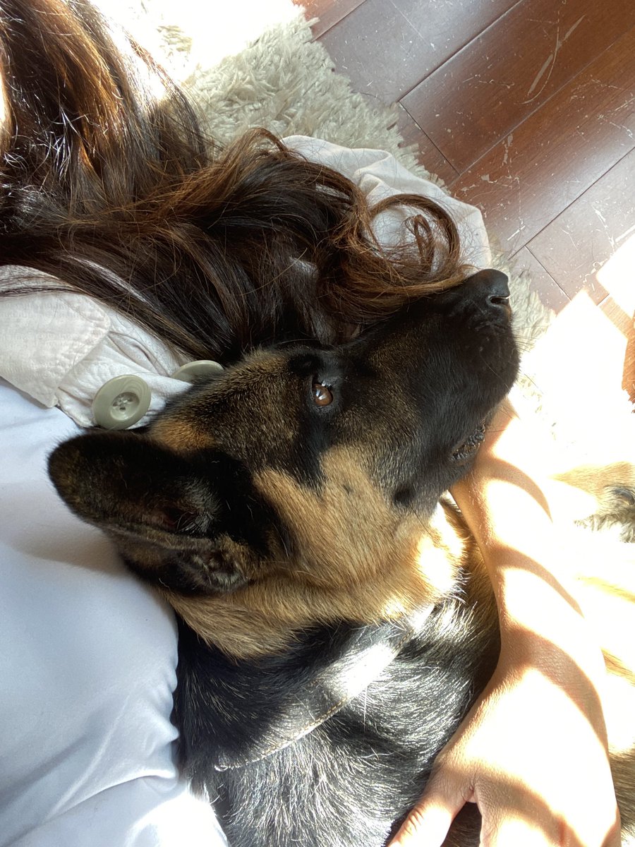 MaryLDelgado's tweet photo. #ilovemydog https://t.co/eqoK9K15iL
