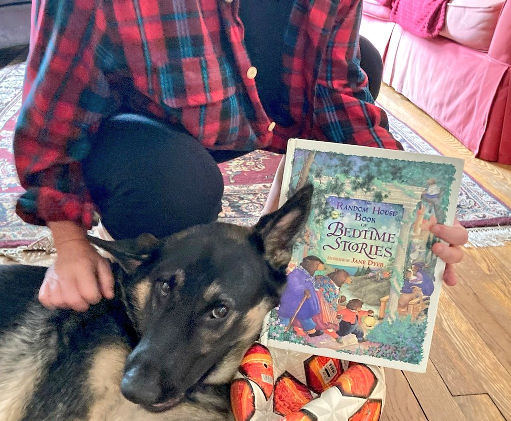 APLDeborahK's tweet photo. Ms. Cindy and Teddy want you to know that you can start putting holds on books again including THE RANDOM HOUSE BOOK OF BEDTIME STORIES! https://t.co/p4dpJ5gNlc (make sure to set your pickup location as Central)
Unfortunately Teddy did not fall asleep reading this. ๐ #APLReads https://t.co/vGydILzuyg