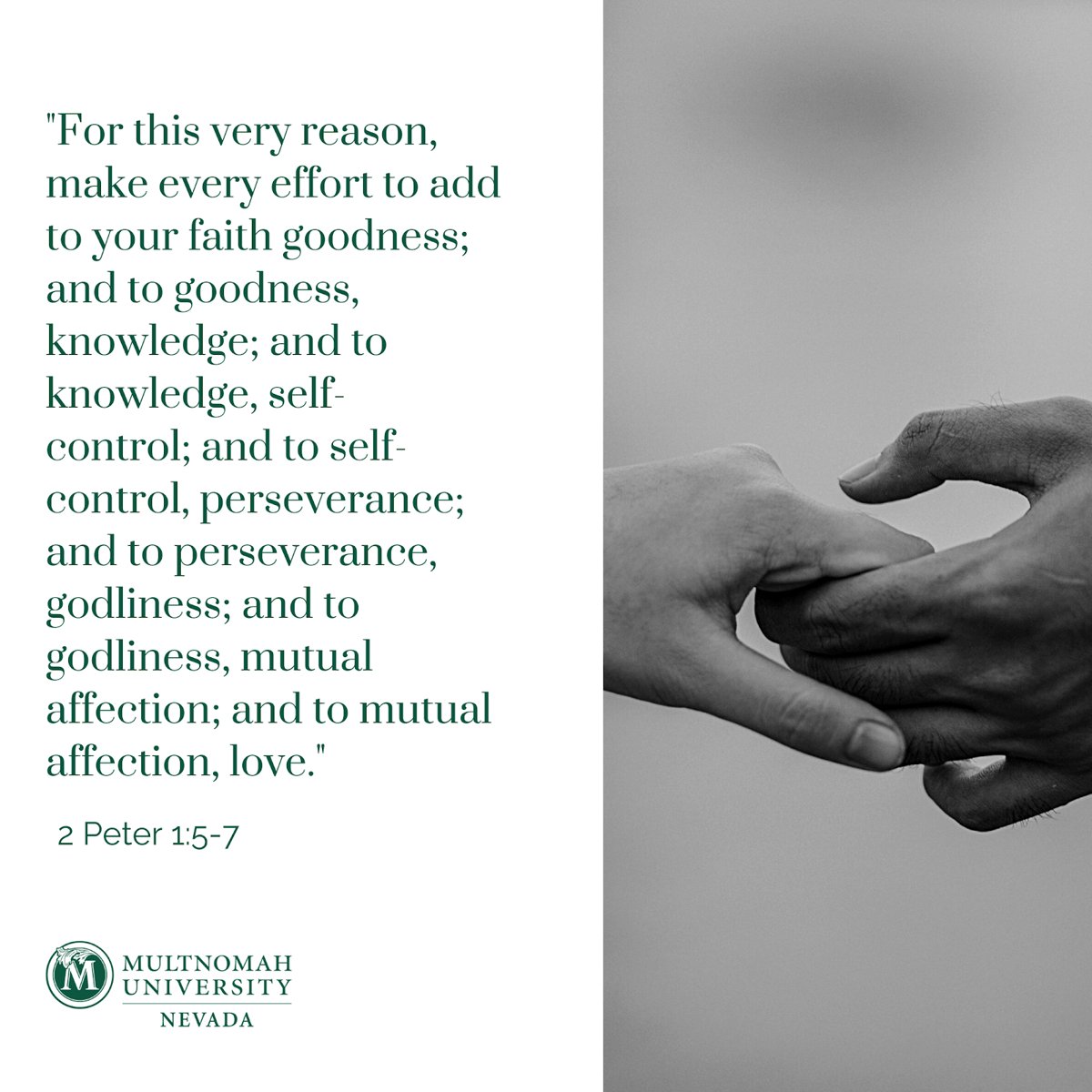 multnomahnevada's tweet photo. “For if you possess these qualities in increasing measure, they will keep you from being ineffective and unproductive in your knowledge of our Lord Jesus Christ.” -2 Peter 1:8

#MultnomahNevada #renotahoe #renonevada #lasvegas #lasvegasnevada #nevada #christianuniversity https://t.co/18TmHaEqH9