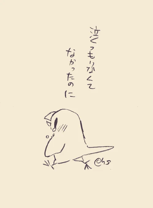 泣くつもりなんてなかったのに#1日1回恋することり 