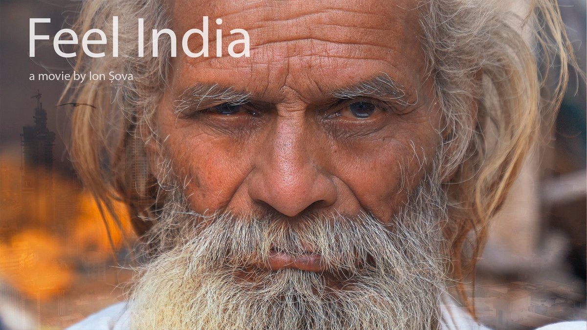 Ion Sova tweet media