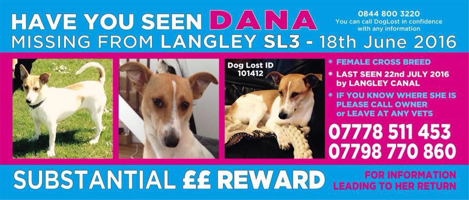Four years today #GetDanaHome #TwitterStorm tonight we have to be their voices #PetTheftPetition #PetTheftReform #FernsLaw #getskyhome