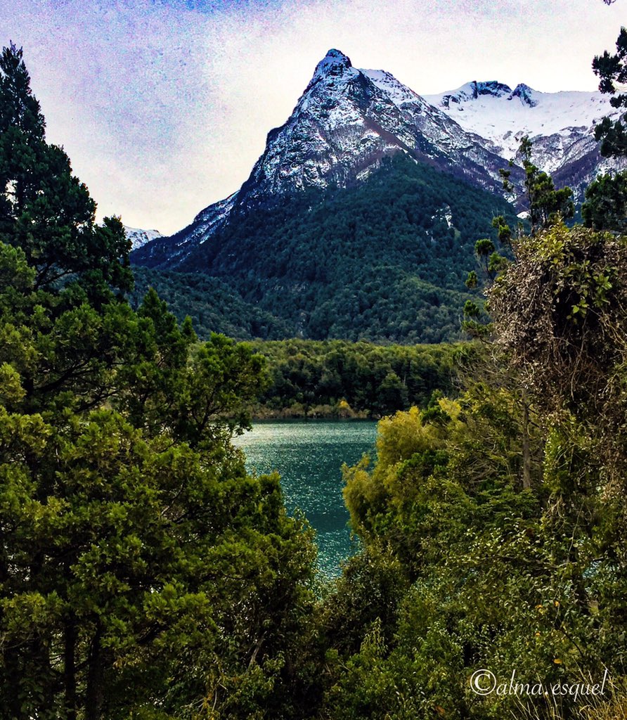 #PostalesAlma
Los días nublados no siempre son grises.
¡Buen jueves!
📍Parque Nacional Los Alerces
.
#SomosAlma
#ph #photography #photographer #southamerica #travelpatagonia #patagoniaargentina #parquenacional #paisajes #patrimonionatural #PNLA #Esquel #Trevelin #Chubut