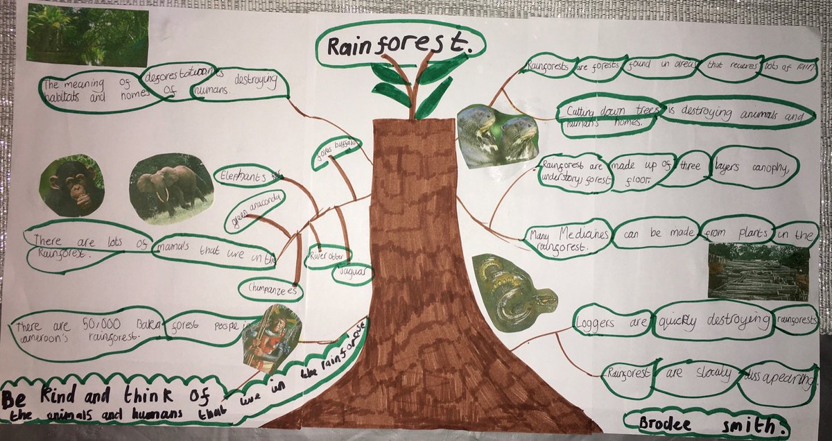 TrishaLloyd14's tweet photo. Todayβs home learning done by Brodee π³ππΏππ² @_MissWatt @ColeshillHeath #TheLearningProjects https://t.co/SBNu9Mhbei