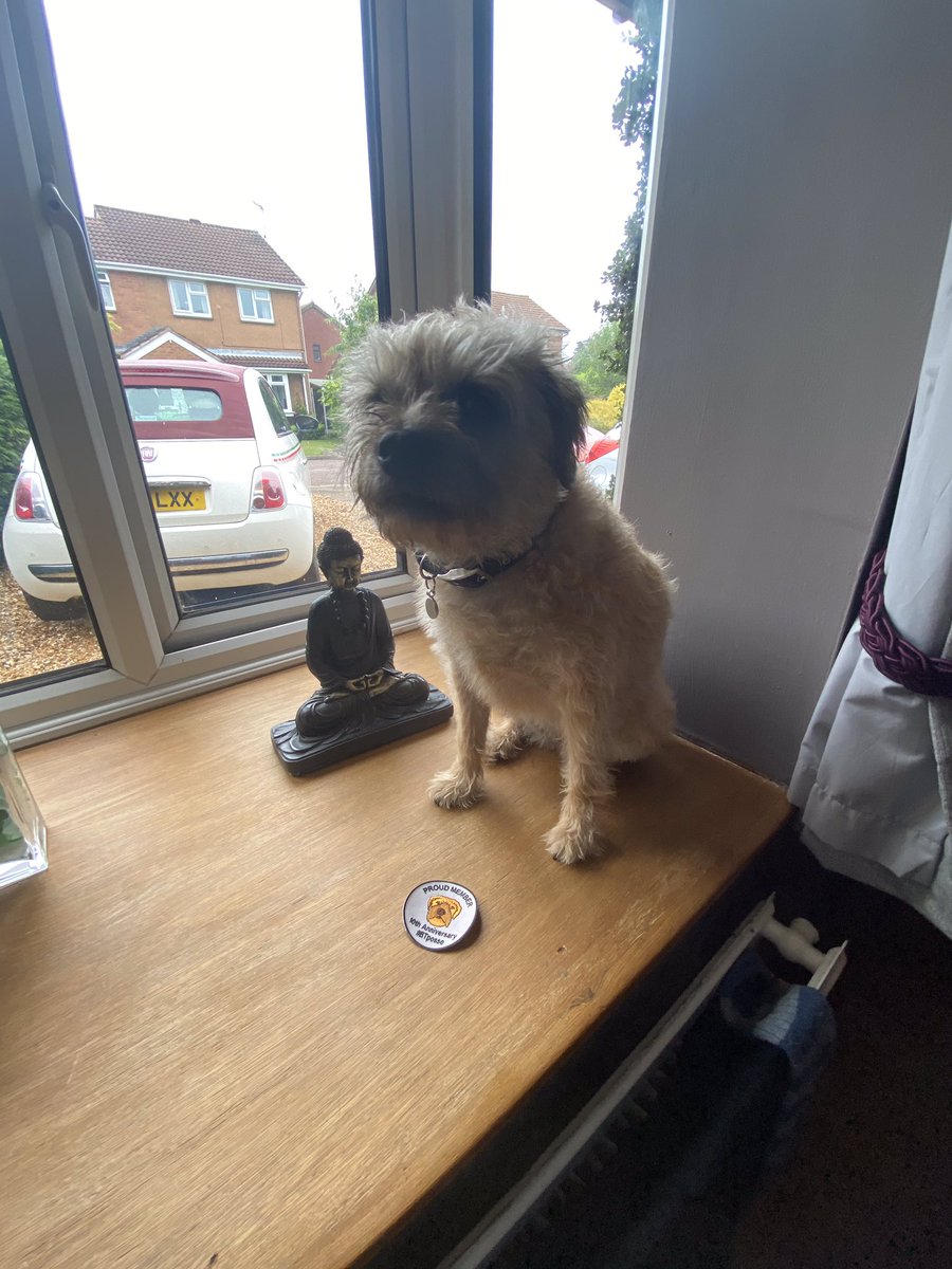 Thanks <a href="/RohanTheBT/">Sir Rohan the BT 🎾</a> #BTPosse