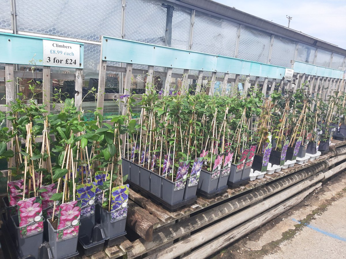 Stakehill Nurseries tweet media