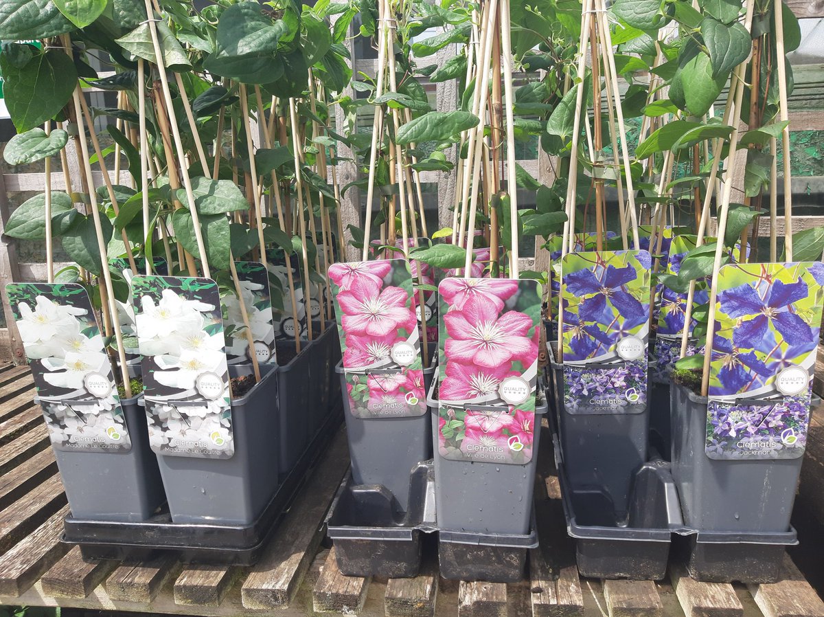 Stakehill Nurseries tweet media
