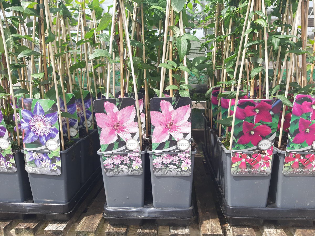 Stakehill Nurseries tweet media