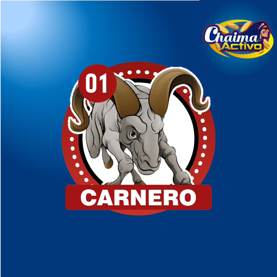 chaimaactivo's tweet image. RESULTADO DE SORTEO
Chaima Activo
18/06/2020
11:00 AM
01 - CARNERO
#18Jun
#PagamosMas