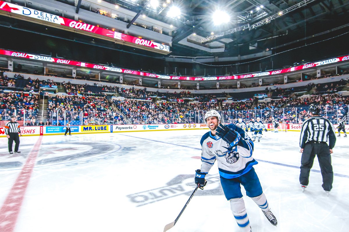 Manitoba Moose tweet media