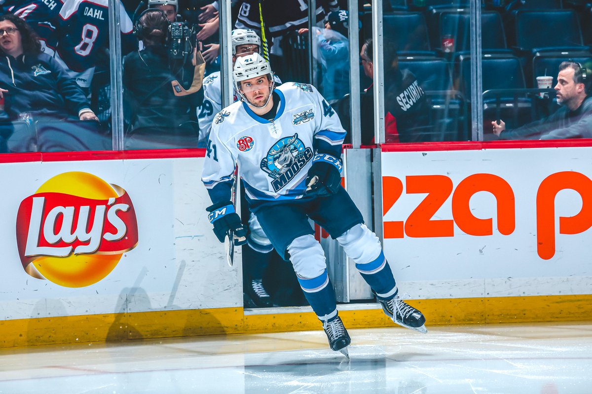 Today's player spotlight is Cole Maier 

Maier posted 15 points (7G, 8A) in 59 games with the Moose this season and paced rookies in goals and games played. #GoMooseGo