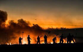 Hollie Tell tweet media