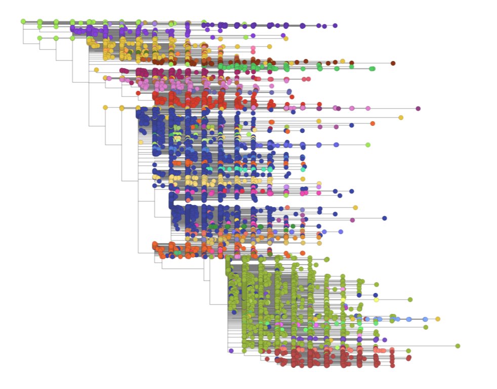 Microreact tweet media
