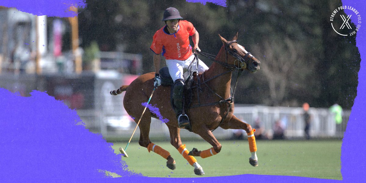 Xtreme Polo League tweet media